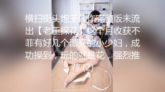 横扫街头炮王佳作完整版未流出【老王探花】这个月收获不菲有好几个漂亮的小少妇，成功操到，玩的就是花，强烈推荐 (2)