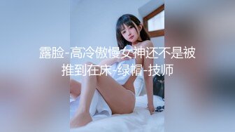 新来的女仆（2）