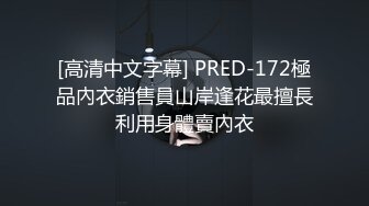 [高清中文字幕] PRED-172極品內衣銷售員山岸逢花最擅長利用身體賣內衣