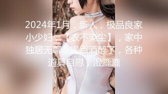 2024年1月，新人，极品良家小少妇，【衣不染尘】，家中独居无聊，喝点酒醉了，各种道具自慰，湿漉漉