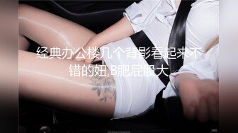 经典办公楼几个背影看起来不错的妞,B肥屁股大