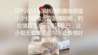 STP26513 黑丝高跟露脸颜值小少妇偷情大哥激情啪啪，豹纹情趣诱惑69舔逼鸡巴，让小哥无套爆草浪叫不止表情好骚内射