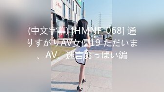 (中文字幕) [HMNF-068] 通りすがりAV女優19 ただいま、AV、迷言おっぱい編