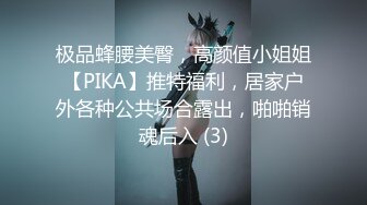 极品蜂腰美臀，高颜值小姐姐【PIKA】推特福利，居家户外各种公共场合露出，啪啪销魂后入 (3)