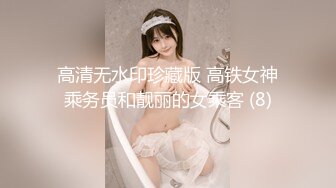 高清无水印珍藏版 高铁女神乘务员和靓丽的女乘客 (8)