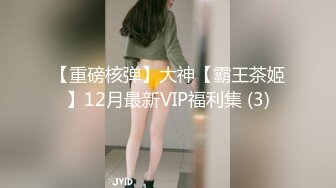 【重磅核弹】大神【霸王茶姬】12月最新VIP福利集 (3)