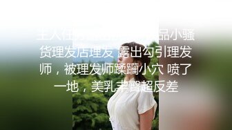 冷酷监禁滴蜡性虐调教[中文字幕]