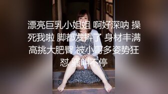 【解说】美女搜查官森泽佳奈被鸡儿潜入