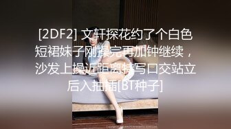 性感少妇短裙手拿小鞭子肉感身材