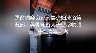 山东小飞《中外混血》