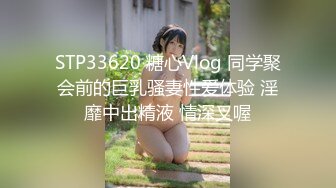 STP33620 糖心Vlog 同学聚会前的巨乳骚妻性爱体验 淫靡中出精液 情深叉喔