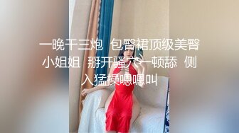 STP33190 性感尤物兔女郎！新人下海4小时激情！上来先干一炮，滴蜡骚逼抽烟，振动棒猛捅，花样多各种玩 VIP0600