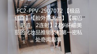 田舎から帰省したら昔は地味だった学级委员长のあの娘が豹変してた！ 1泊2日で10発中出しするまで何度も勃起させちゃうヤリマンGALビッチとの思い出 二叶エマ