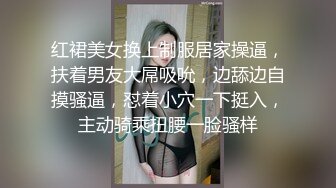 公共卫生间玩弄极品黑丝御姐 太刺激了