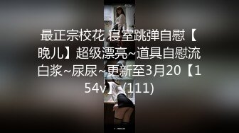 悉尼打桩机与00骚货