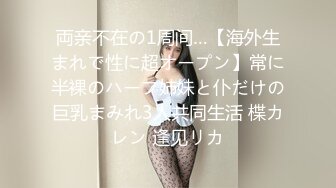 両亲不在の1周间…【海外生まれで性に超オープン】常に半裸のハーフ姉妹と仆だけの巨乳まみれ3人共同生活 楪カレン 逢见リカ