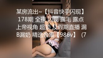 极品婊子