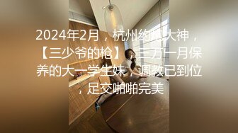 推特骚母狗『紫晶』大尺度性爱私拍甄选 倒立口交+啪啪+美乳+道具+品穴 高清私拍86P