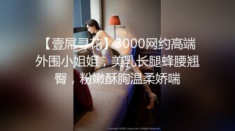 【壹屌寻花】3000网约高端外围小姐姐，美乳长腿蜂腰翘臀，粉嫩酥胸温柔娇喘