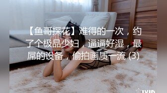 波巧酱 女主人与女仆 与新人米娜 女主与女仆之间有着不为人知的秘密