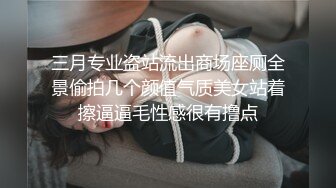 三月专业盗站流出商场座厕全景偷拍几个颜值气质美女站着擦逼逼毛性感很有撸点