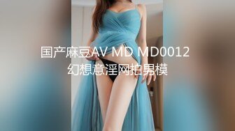 国产麻豆AV MD MD0012 幻想意淫网拍男模