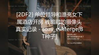 [2DF2] 单位领导和漂亮女下属酒店开房 被暗藏的摄像头真实记录 - soav_evMerge[BT种子]