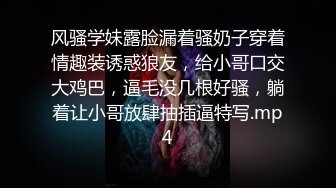 眼镜骚胖约操长发及腰外围美女，情调黑布蒙眼撩起裙子摸逼