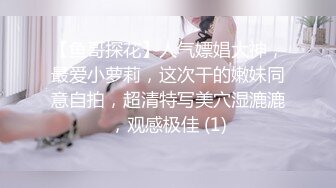 存货，小女友的淫叫