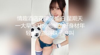 国产麻豆AV 麻豆US LAX0056 POV坦诚的荡妇 Skylar Snow