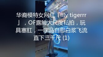 华裔模特女网红「lily tigerrr」，OF露脸大尺度私拍，玩具塞肛，一字马自慰白浆飞流直下三千尺 (1)