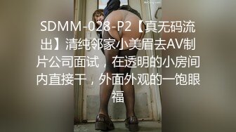 SDMM-028-P2【真无码流出】清纯邻家小美眉去AV制片公司面试，在透明的小房间内直接干，外面外观的一饱眼福