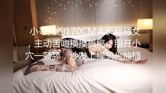   小哥网约170CM大长腿骚女，主动舌吻摸摸搞搞，掰开小穴一顿舔，沙发上操骑坐抽插