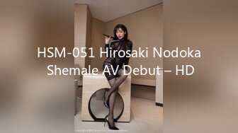 HSM-051 Hirosaki Nodoka Shemale AV Debut – HD