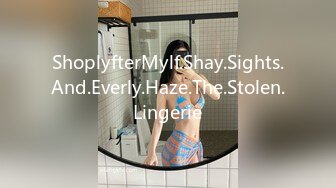 ShoplyfterMylf.Shay.Sights.And.Everly.Haze.The.Stolen.Lingerie